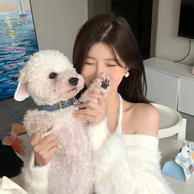 谍网纵横