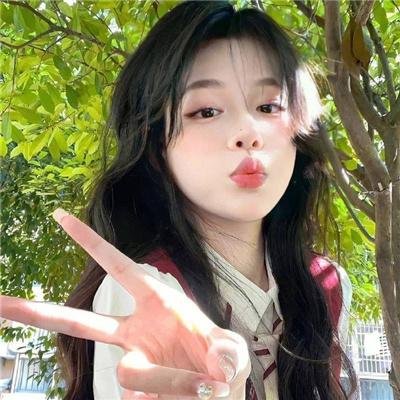 会飞的驴